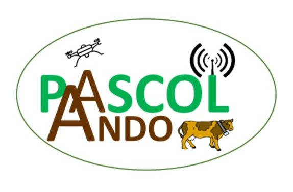 PASCOL-ANDO