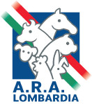 Logo ARAL